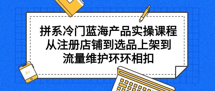 拼系冷门蓝海产品实操课程，从注册店铺到选品上架到流量维护环环相扣-黑猫轻创业