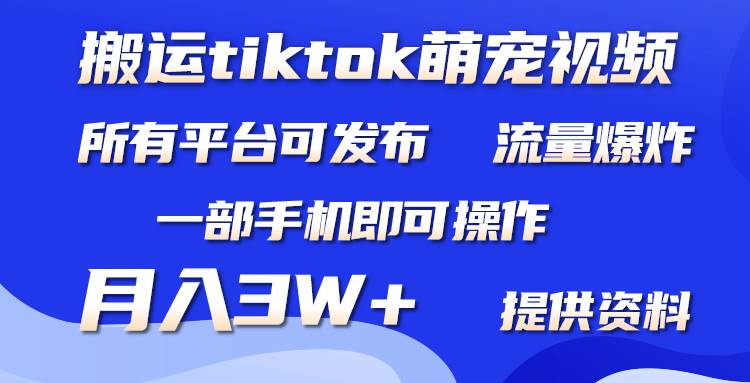 搬运Tiktok萌宠类视频,一部手机即可。所有短视频平台均可操作,月入3W+-黑猫轻创业