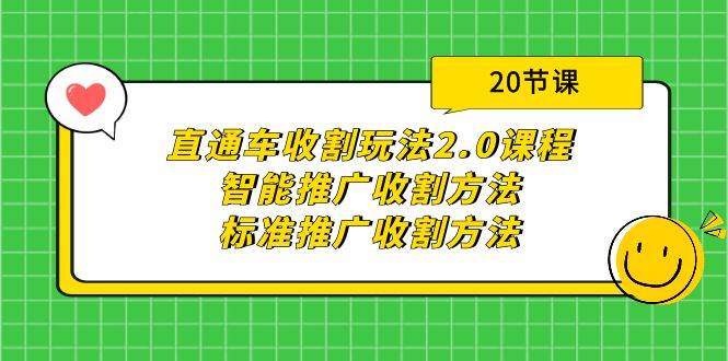 直通车收割玩法2.0课程：智能推广收割方法+标准推广收割方法（20节课）-黑猫轻创业