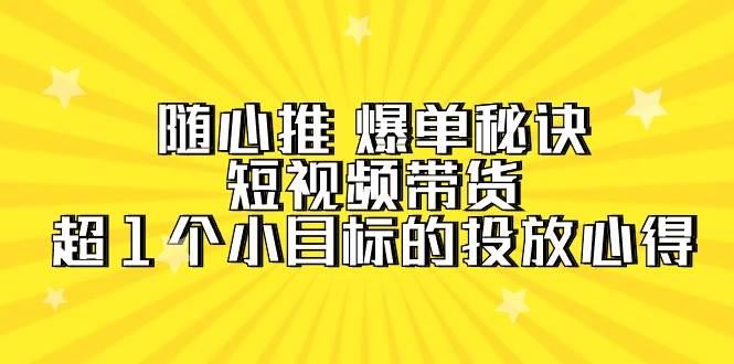 随心推 爆单秘诀，短视频带货-超1个小目标的投放心得（7节视频课）-黑猫轻创业