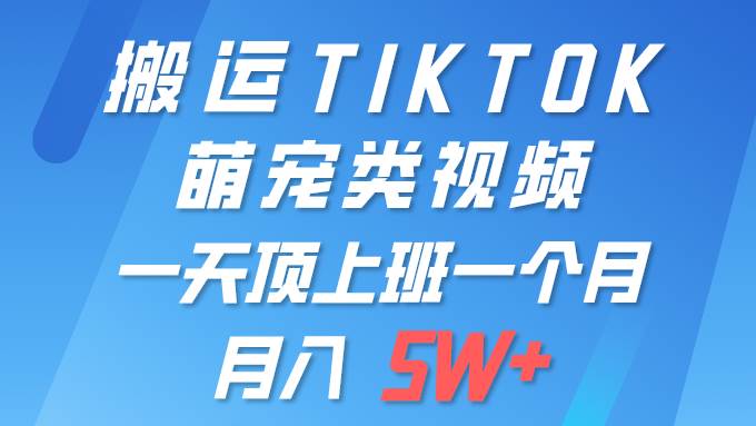 一键搬运TIKTOK萌宠类视频 一部手机即可操作 所有平台均可发布 轻松月入5W+-黑猫轻创业