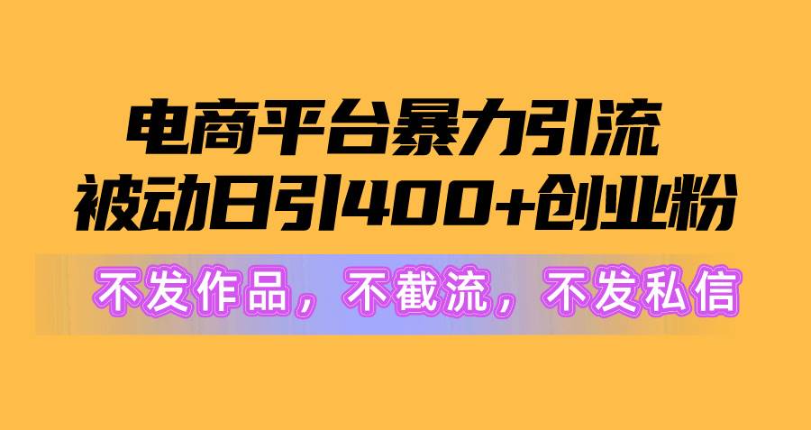 电商平台暴力引流,被动日引400+创业粉不发作品,不截流,不发私信-黑猫轻创业