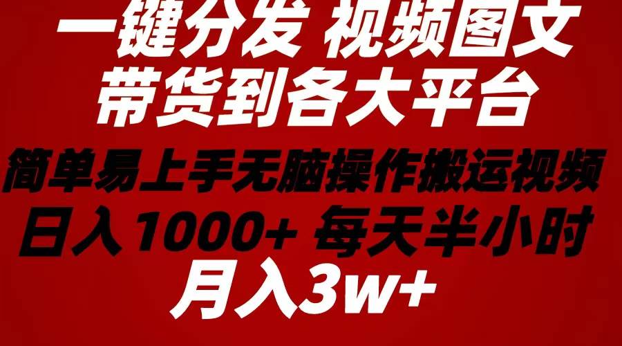 2024年 一键分发带货图文视频  简单易上手 无脑赚收益 每天半小时日入1...-黑猫轻创业