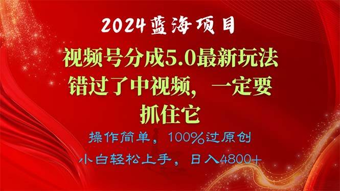 2024蓝海项目,视频号分成计划5.0最新玩法,错过了中视频,一定要抓住...-黑猫轻创业