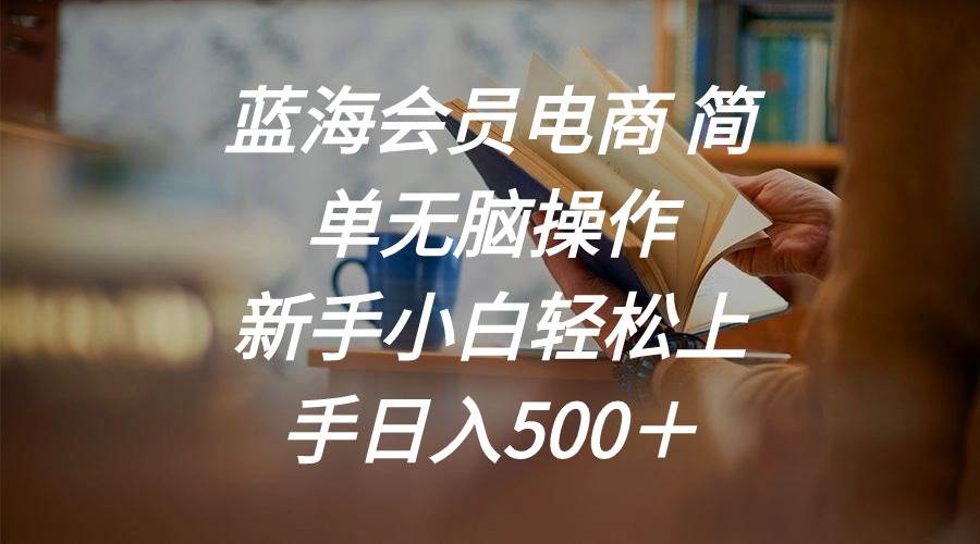 蓝海会员电商 简单无脑操作 新手小白轻松上手日入500+-黑猫轻创业