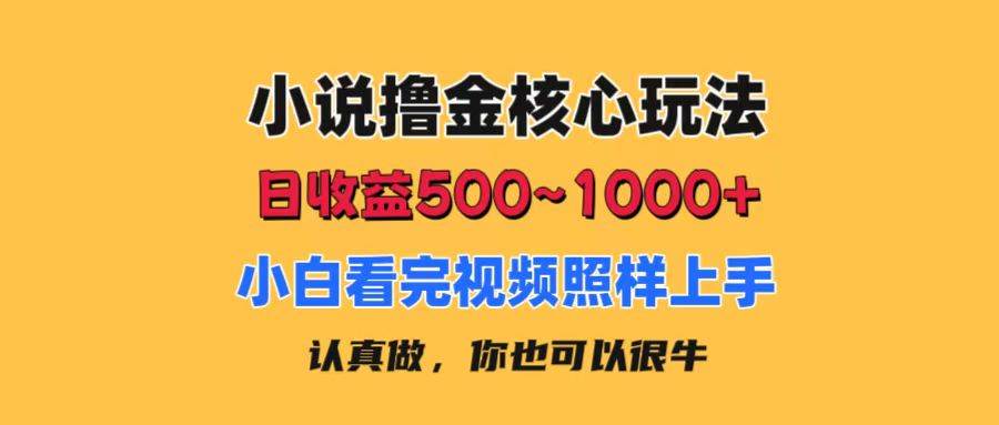 小说撸金核心玩法,日收益500-1000+,小白看完照样上手,0成本有手就行-黑猫轻创业