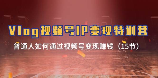 Vlog 视频号IP变现特训营，普通人如何通过视频号变现赚钱（15节）-黑猫轻创业