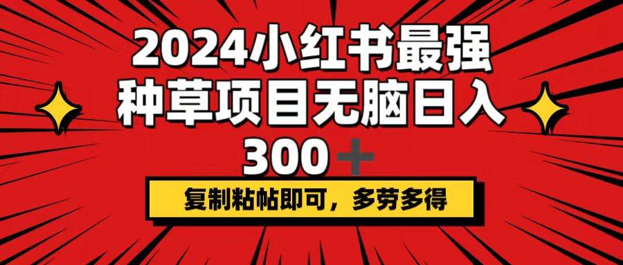 2024小红书最强种草项目，无脑日入300+，复制粘帖即可，多劳多得-黑猫轻创业